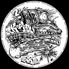 TIM REAPER - REAPERZ REALM (VINYL MIX)