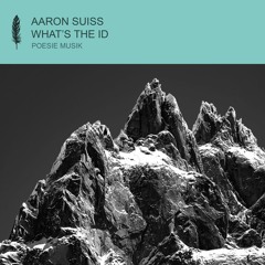 Aaron Suiss X Anis Hachemi - ID (snippet)