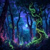 Sokolocybin - Opening Set @ Fire Moon 29.2.2024 DJ mix artwork - Electronic music tracklist cover image