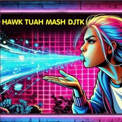 Hawk Tuah Mash UP DJTK