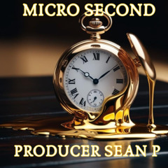 MICRO SECOND