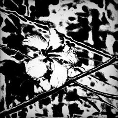 EXALT - Lost Flower (cilp)