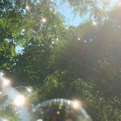 Summer breeze
