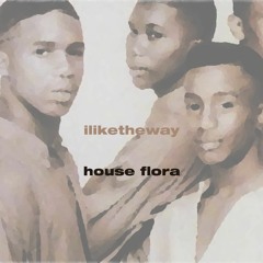 liketheway_housefloraedit