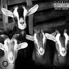 4 headed goat