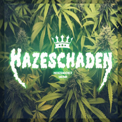 Hazeschaden.mp3 (feat.MDMX)