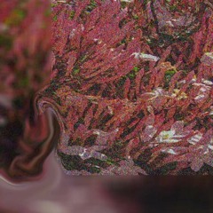 Cure_N part 4