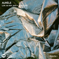 Aurèle - 08 Avril 2024