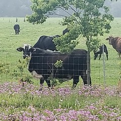 Derrick JaxN Syndrone [Incomplete]  (Prod: NKMusic)