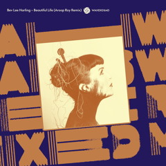 Beautiful Life (Aroop Roy Remix)