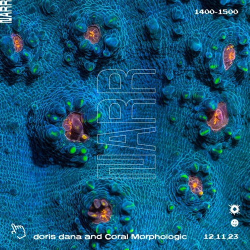 doris dana and Coral Morphologic 12/11/23