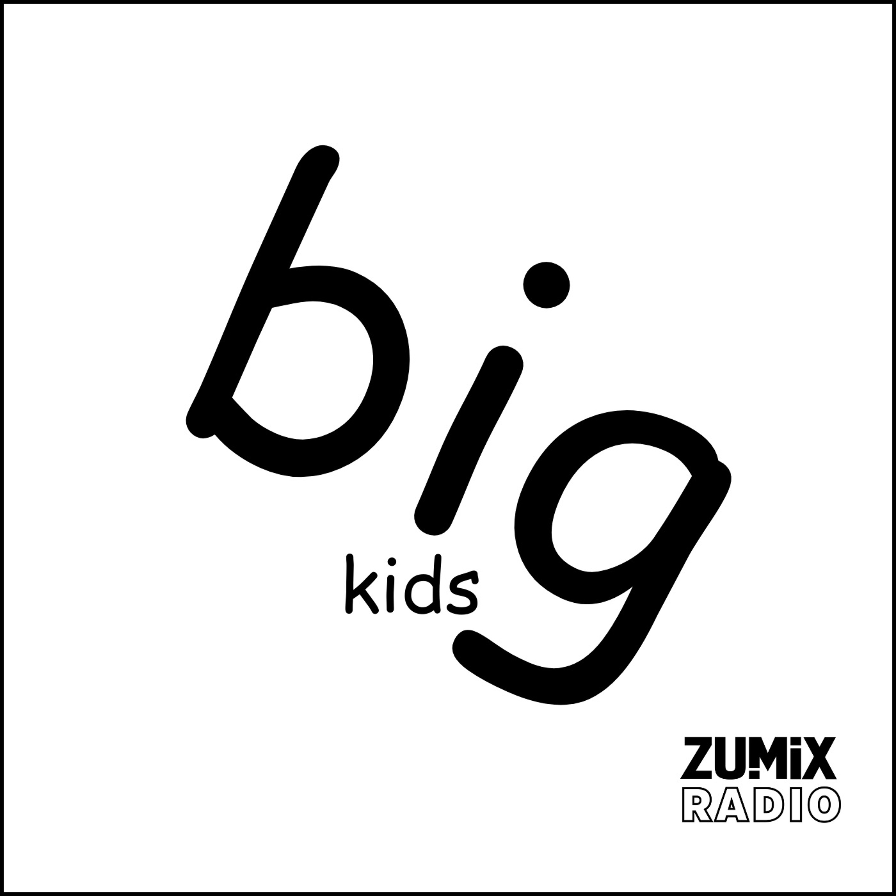 ZUMIX
