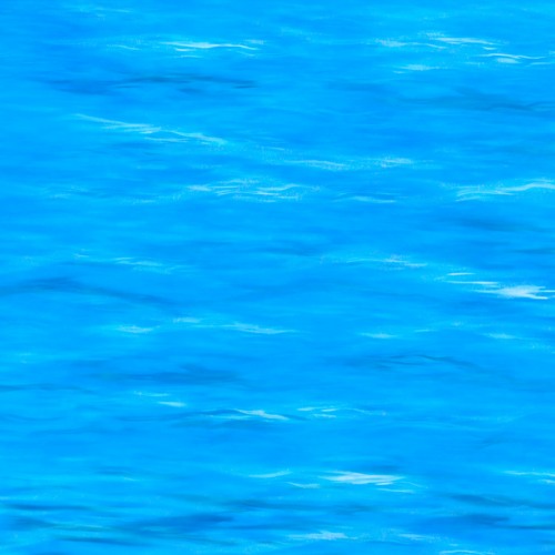 Following the Ocean Swells Home (naviarhaiku477)