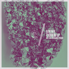 Pinemoon (Original Mix)