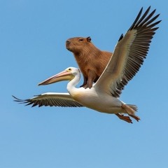 카피바라하우스 입장곡 ,,