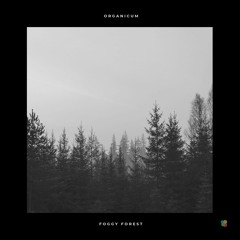 Premiere: Organicum - Foggy Forest [Bokesound]