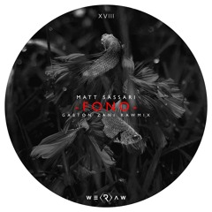 Matt Sassari - Fono (Gaston Zani Rawmix)