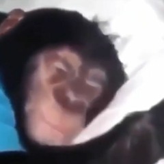 wakey wakey its time for scoo (DEMO)