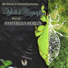 xBulletNymphx LIVE @ Mysterious Worlds | 8.9.25 | footwork, bass, jungle