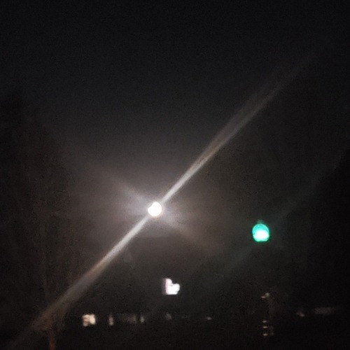 MEANT TO STAY HID (SYML) - sped up, reverb