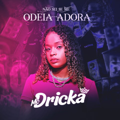 Não Sei Se Me Odeia Ou Se Me Adora