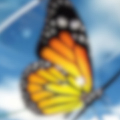 ELETRONIC LOVE (NightFlare Re-Edit)
