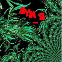 SyN B Dub Part One Silver Haze