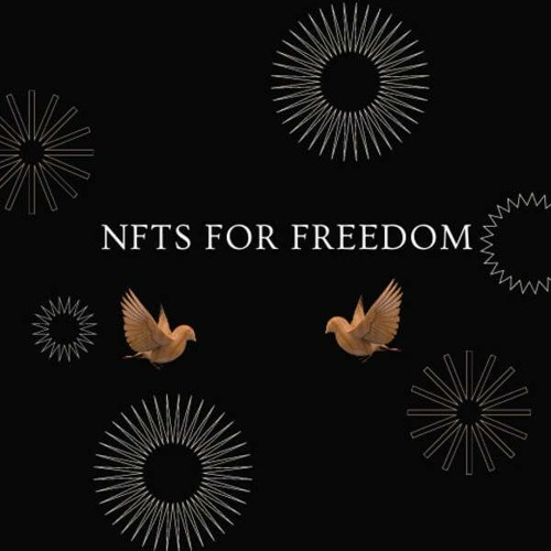 Stream What is NFTs For Freedom? Steve Ryan is Interviewed by Galaxis