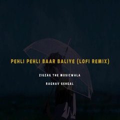 Pehli Pehli Baar Baliye / Dil Ka Qarar (Lofi Remix)