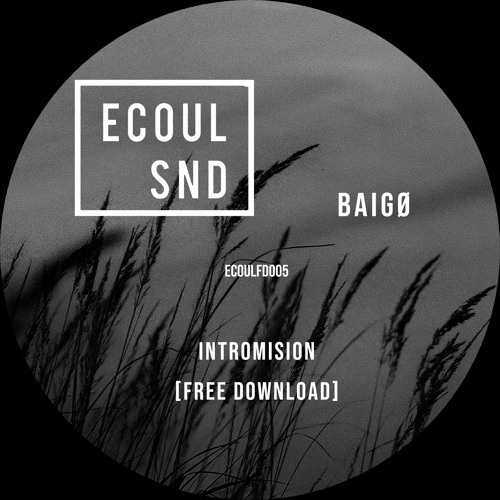 Baigø - Intromision (Free Download)