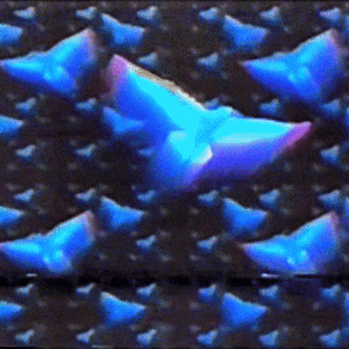 The Protection II [Tape Preview][Full Tape Available on Bandcamp]