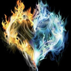 Daffodil-Only For You