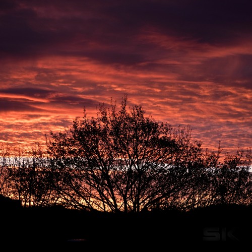 The Age of Empire ( a theme from the past )