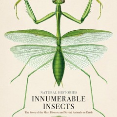 ❤ PDF Read Online ❤ Innumerable Insects: The Story of the Most Diverse