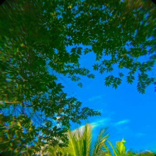 Stream Sunroof by Nicky Youre ft Dazy (song coverukelele version) by