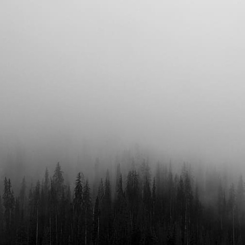 i hate you and your friend group