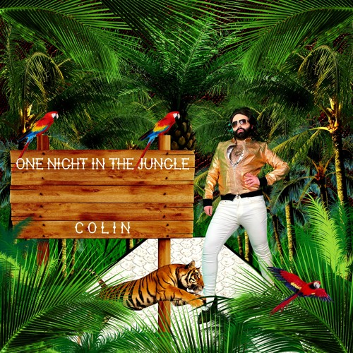 Stream Colin - One Night In The Jungle (Radio Edit) by ColinsCity | Listen  online for free on SoundCloud