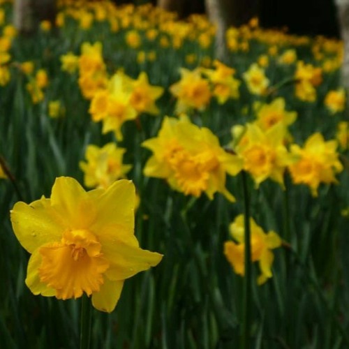 Guess This Is The End Remix Bhertuy + Slxxpy (Prod. Jxlyy)