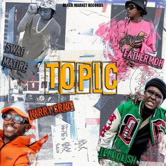 Topic (feat. Swat Matire)