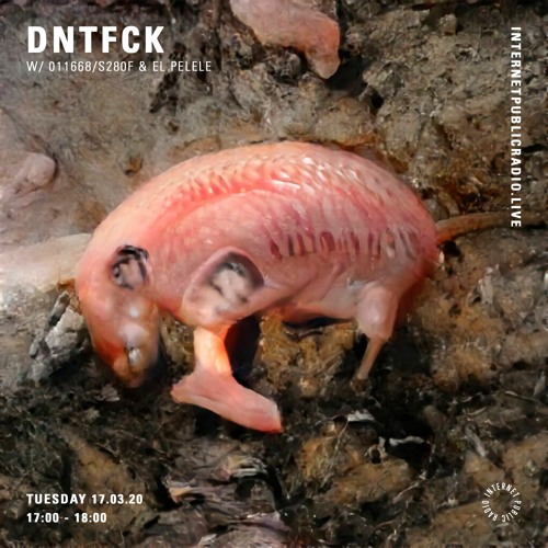 DNTFCK on Internet Public Radio - S280F, 011668 & El Pelele