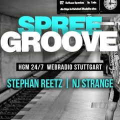 NJ Strange Jackin Disco House Grooves Vol.6 "Spree Groove Radio Berlin Guest Mix March 2022"