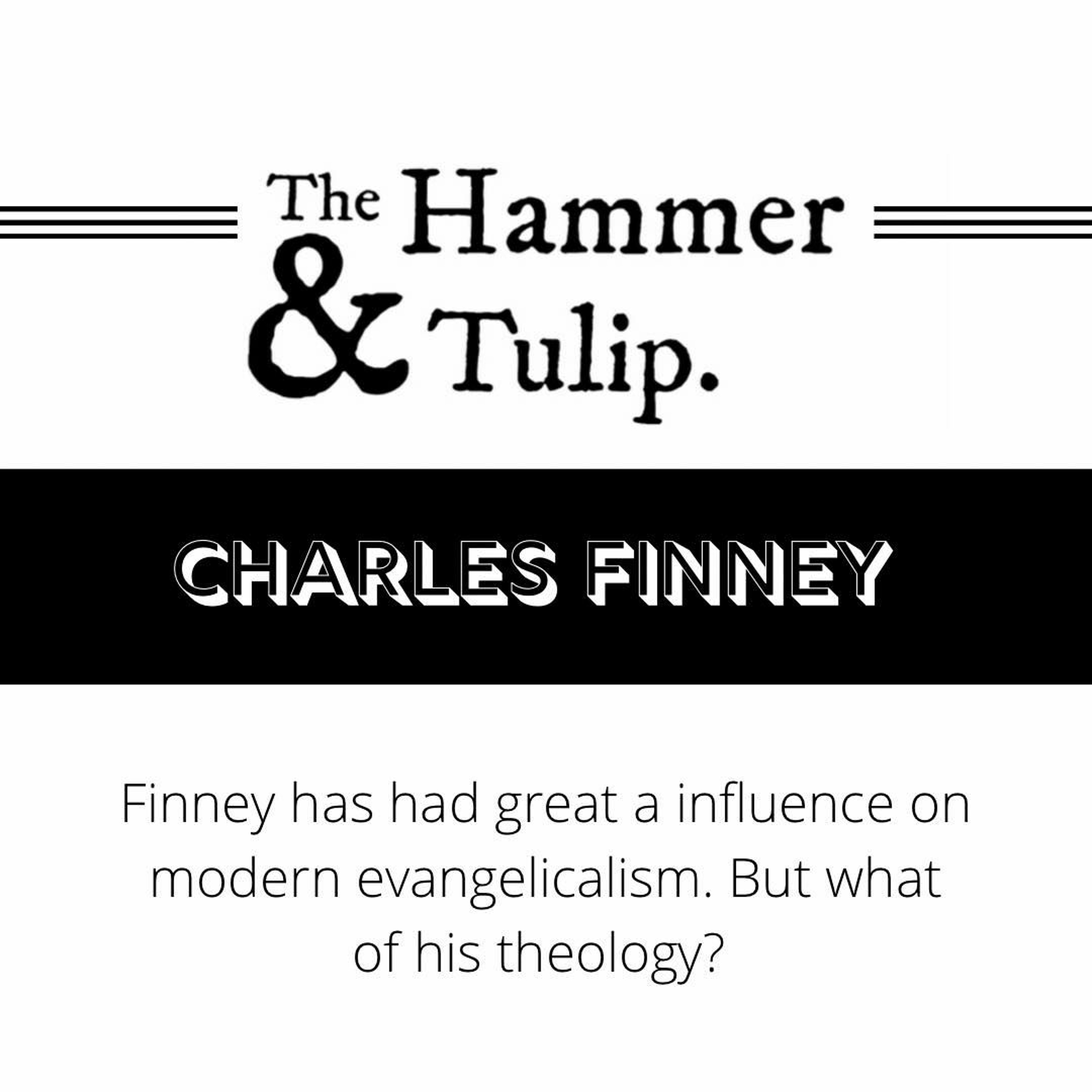 The Hammer & Tulip Podcast