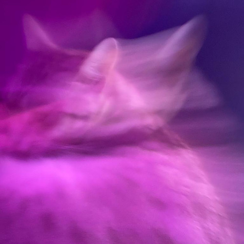 High of a Pill (slowed drop)