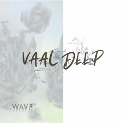 VAAL DEEP - DEEP ASPECTS 003 WAV3OFF PODCAST