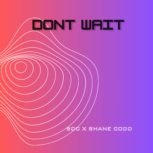 SDC X Shane Codd - Don't Wait