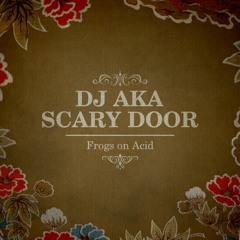 DJ AKA - Scary Door (Extended Mix)