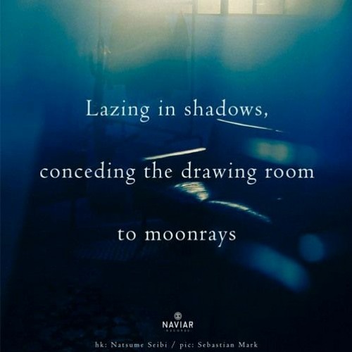 Hidden - (naviarhaiku504)