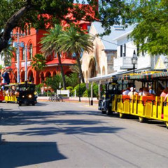 Best Unusual Things To Do In Key West Tours Reviews