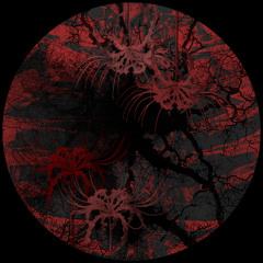 Primitif & Shivir - Sylen