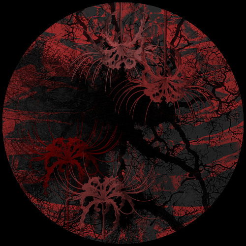 Primitif & Shivir - Sylen